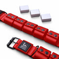 Weighted Training Collar — Red (Large, 5 lbs)