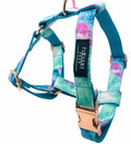 Step-In Bundle — Sky (2 Pieces)