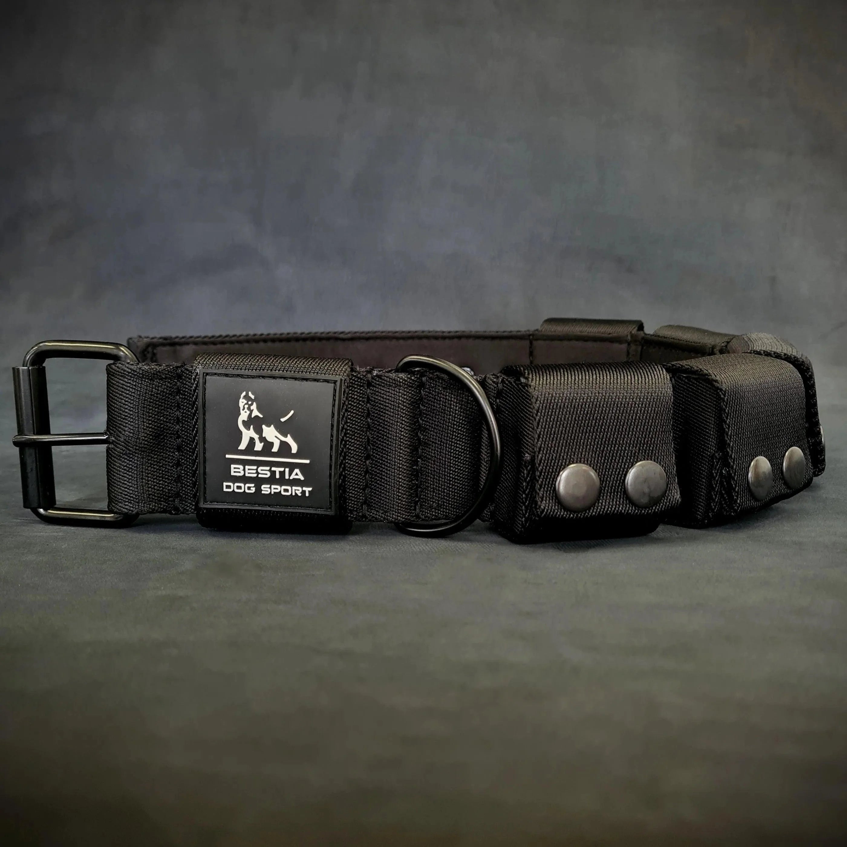 Weighted Training Collar (Large, 5 lbs)