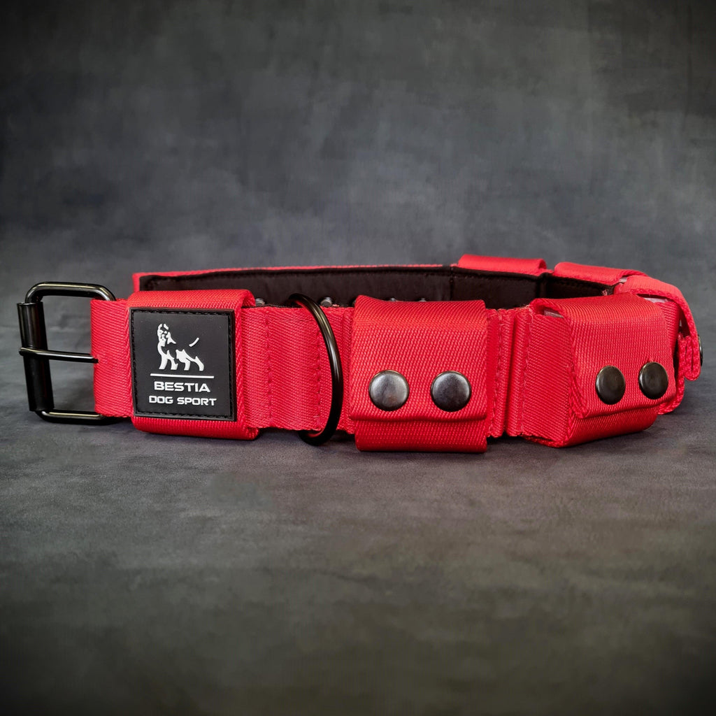 Weighted Training Collar — Red (Large, 5 lbs)