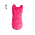 Catnip Teething Cat Toy