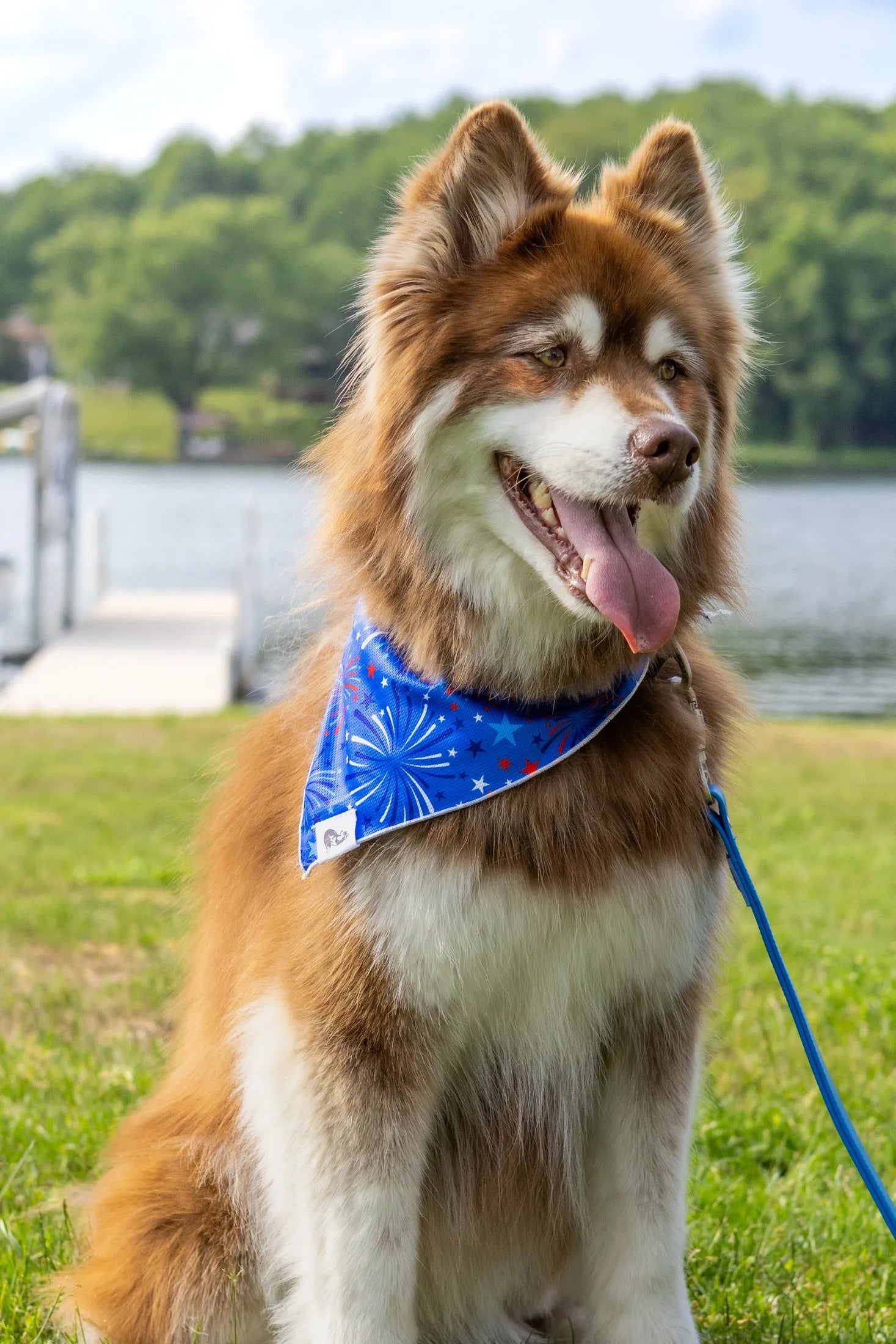 Patriotic Dog Bandana-1