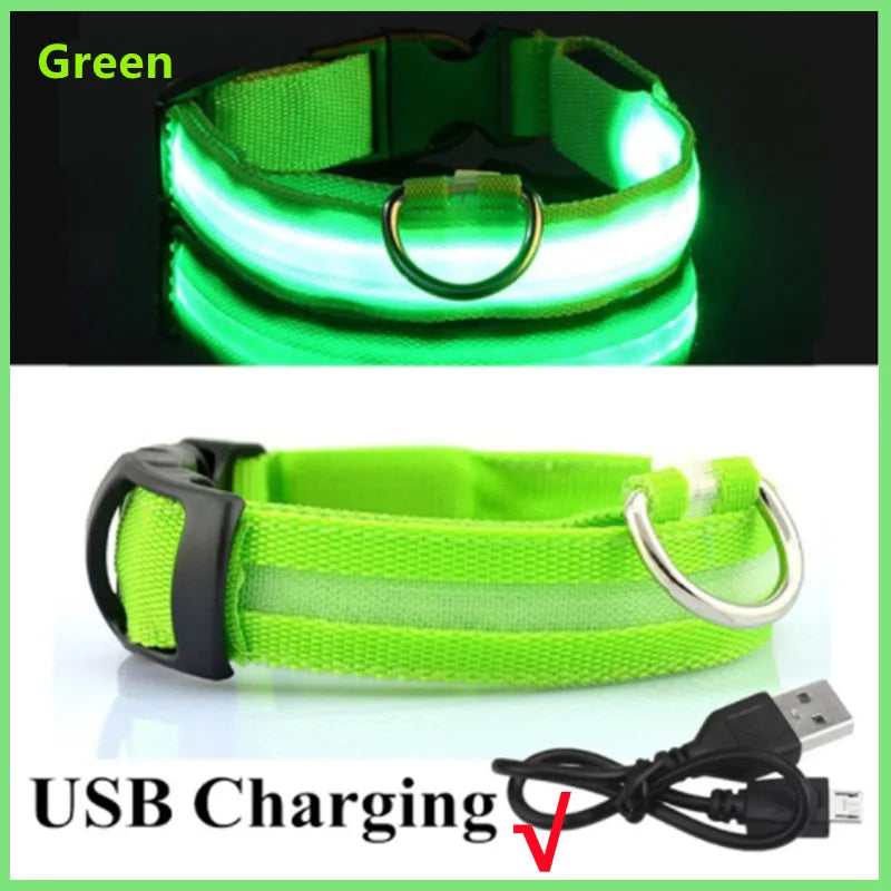 USB Rechargeable Luminous Dog Collar