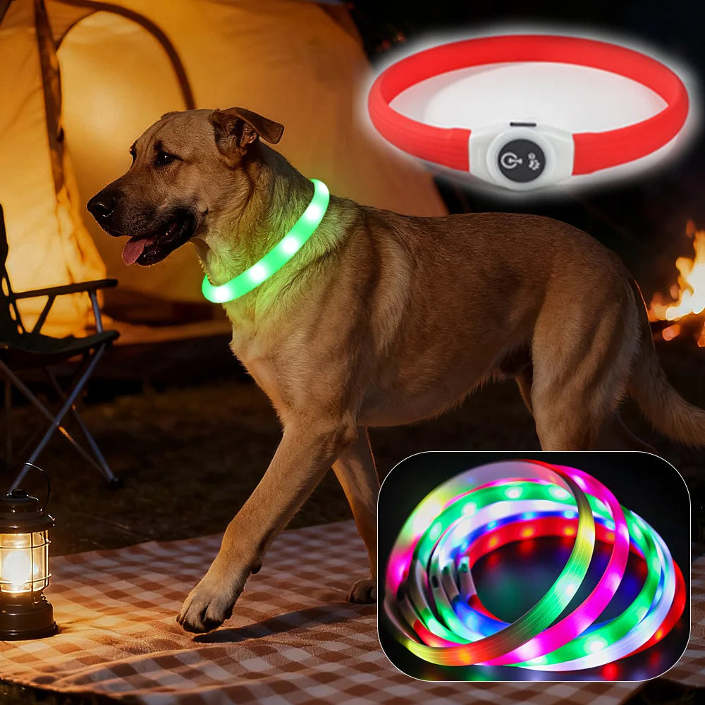 USB LED Dog Collar