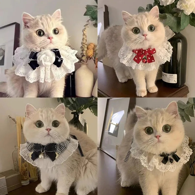 Silk Princess Cat Collar