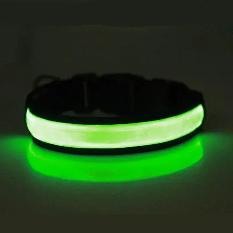 LED USB Charging Dog Collar