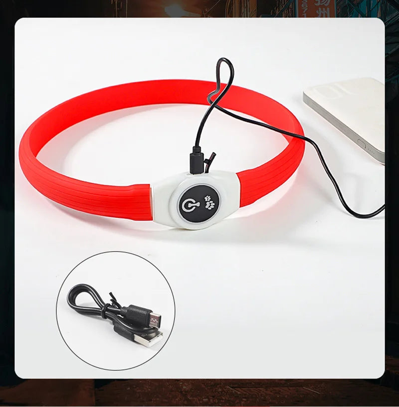 USB LED Dog Collar