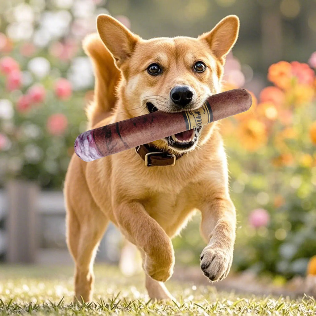 Interactive Squeaky Plush Dog Toy