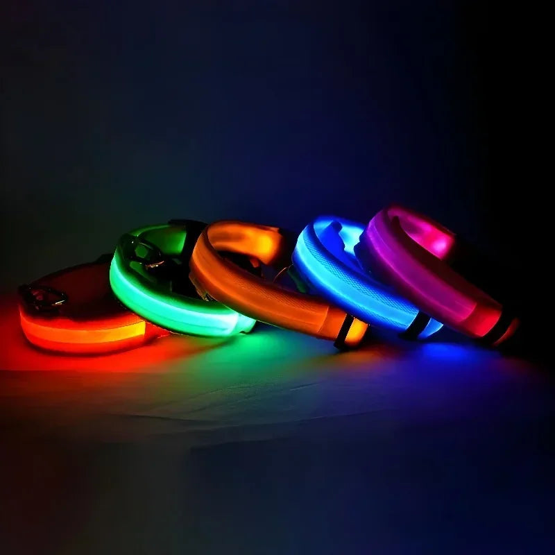 LED Glow Nylon Dog Collar