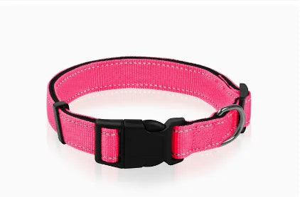 Reflective Padded Nylon Dog Collar