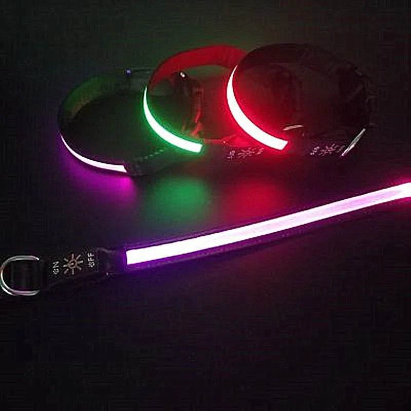 LED USB Charging Dog Collar