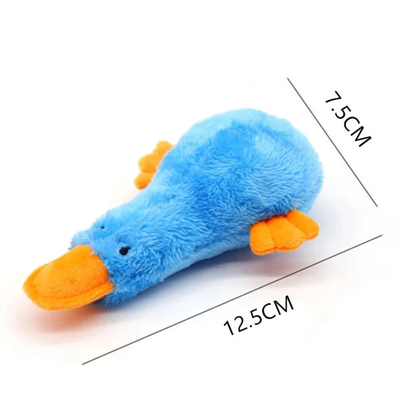 Interactive Duck Cat Toy