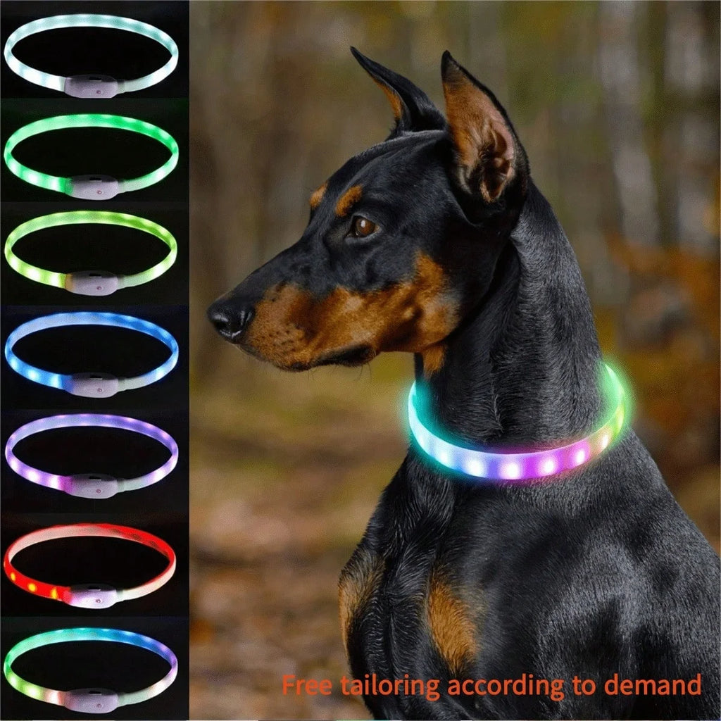 Glow Safety Dog Collar & Leash