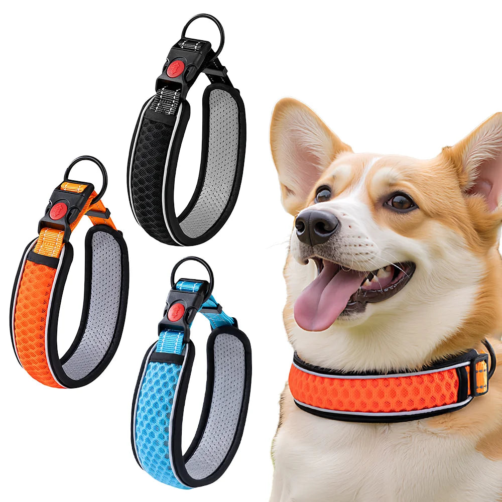 Adjustable Reflective Dog Collar