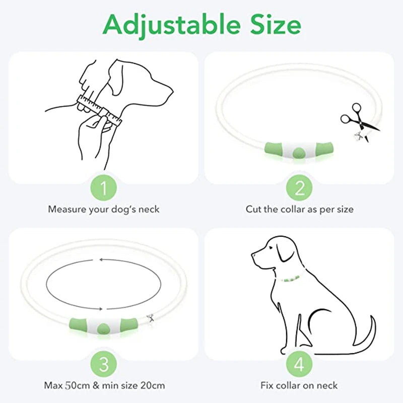 USB Glow Necklace Dog Collar