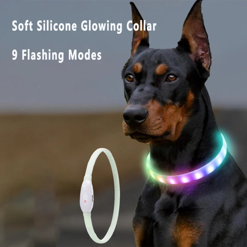 USB Glow Dog Collar 9 Modes