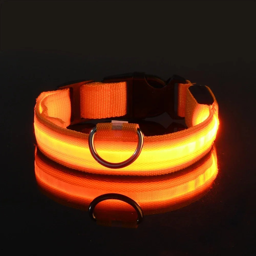 LED Glow Nylon Dog Collar
