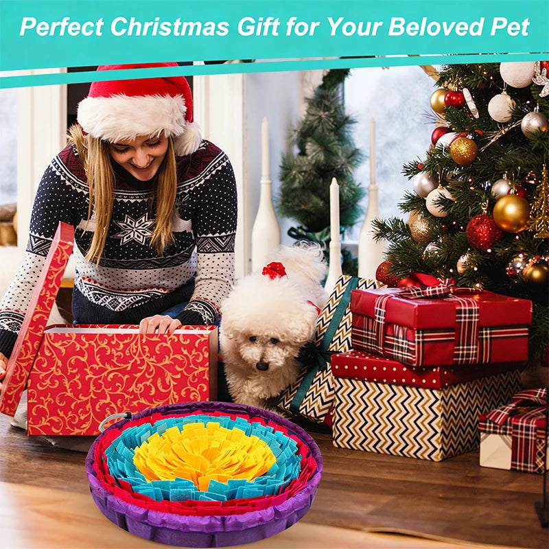 Pet Snuffle Slow Feeding Mat