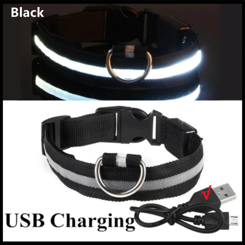 USB Rechargeable Luminous Dog Collar