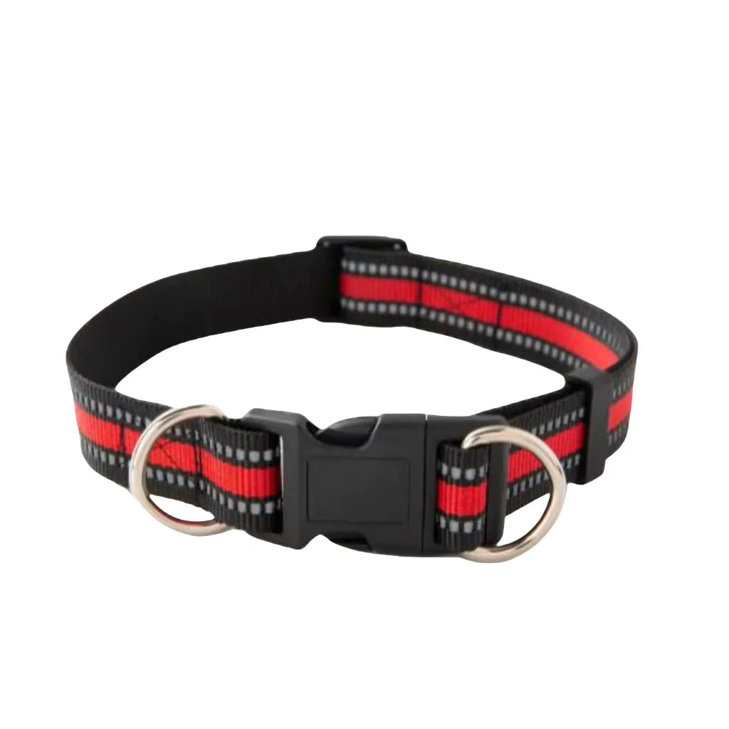 Dual D-Ring Dog Collar