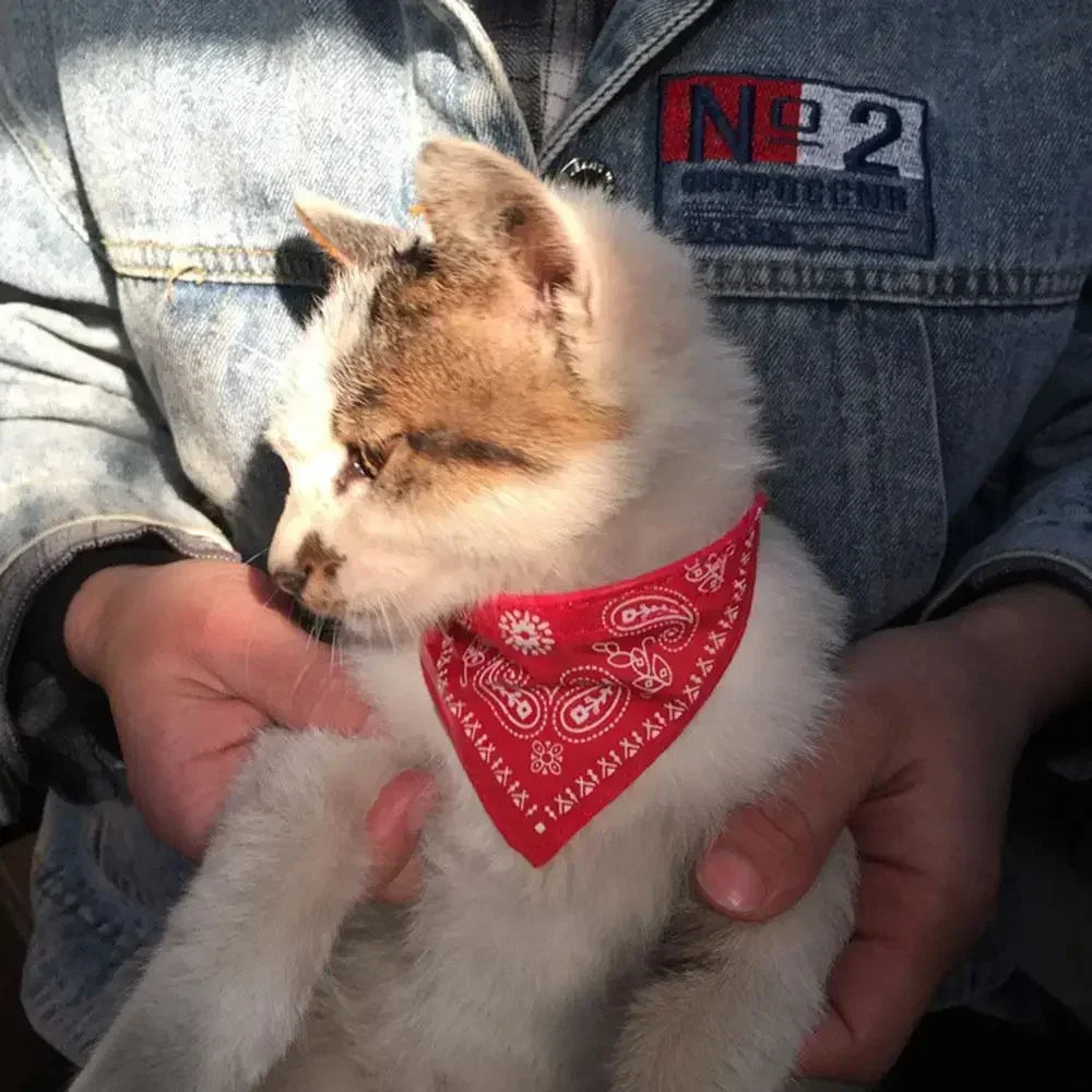 PU Leather Bandana Pet Collar