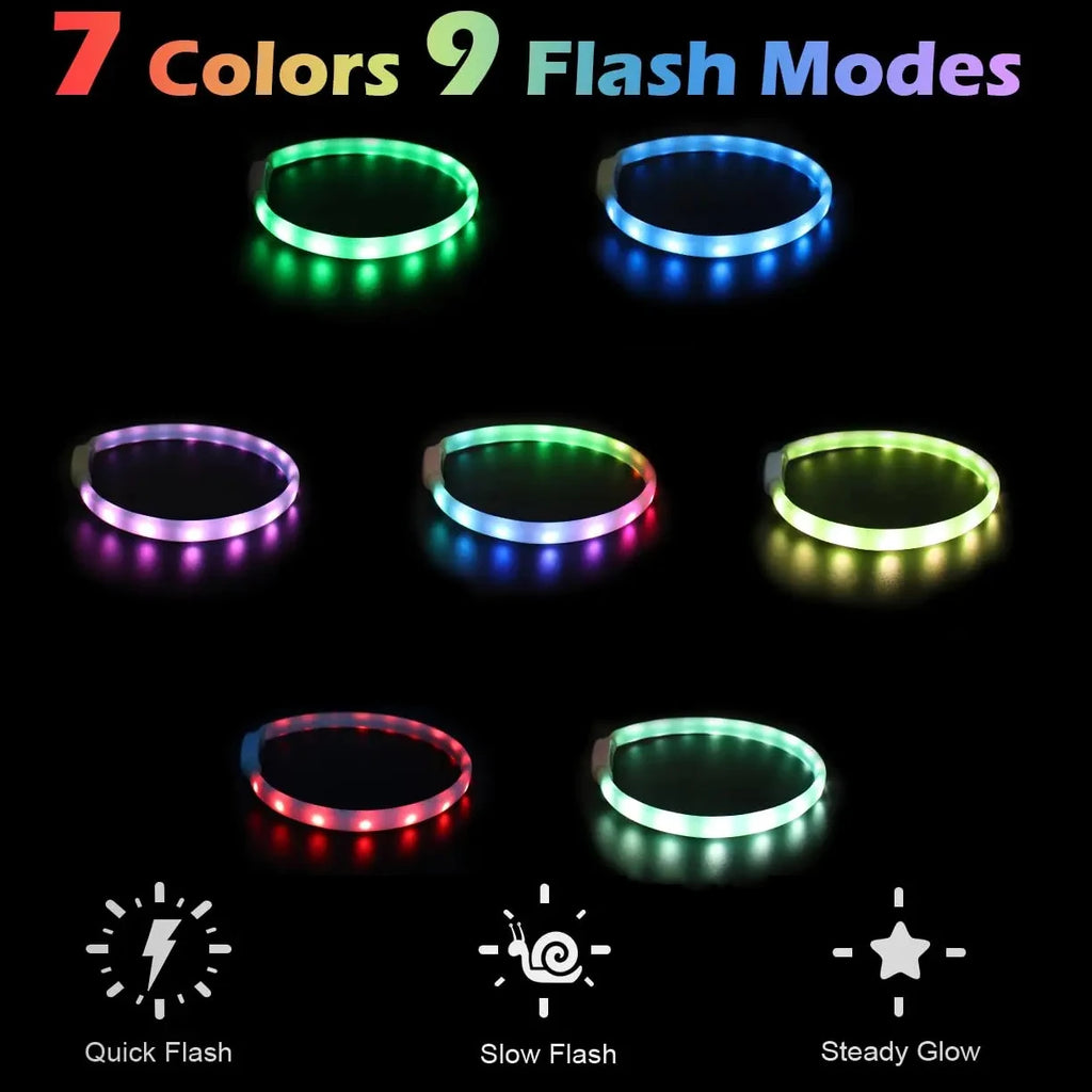 USB Glow Dog Collar 9 Modes