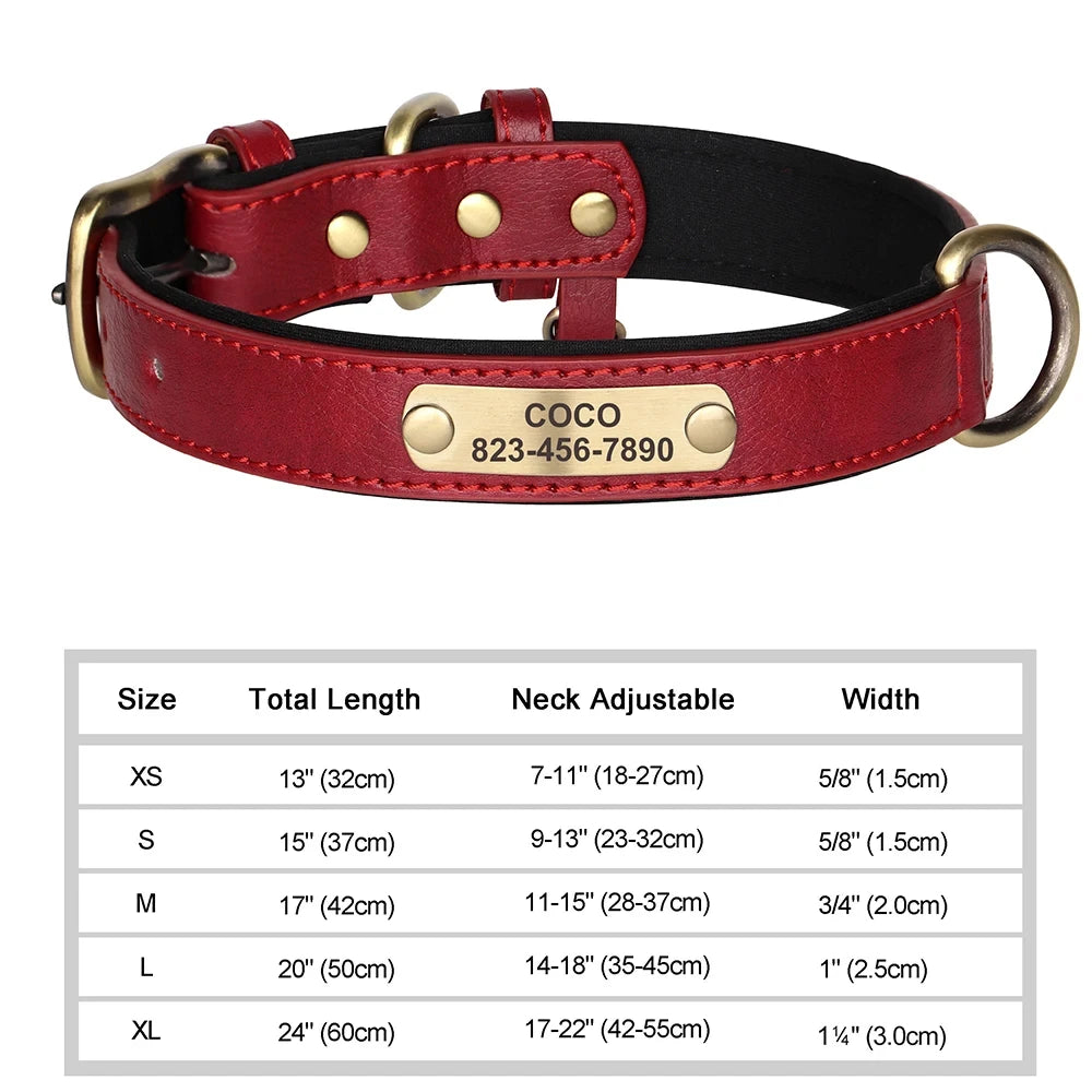 Personalized Leather ID Collar