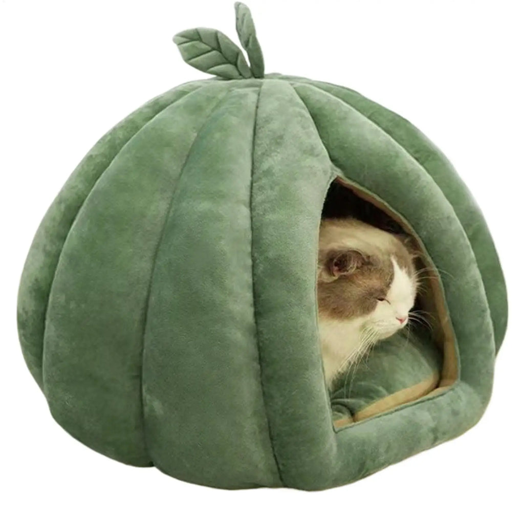 Pumpkin Cave Cat Bed
