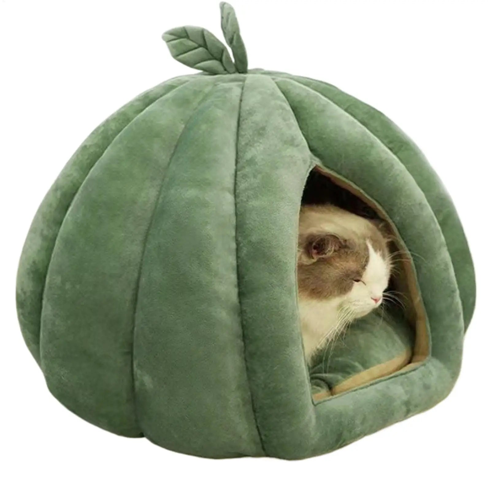 Pumpkin Cave Cat Bed