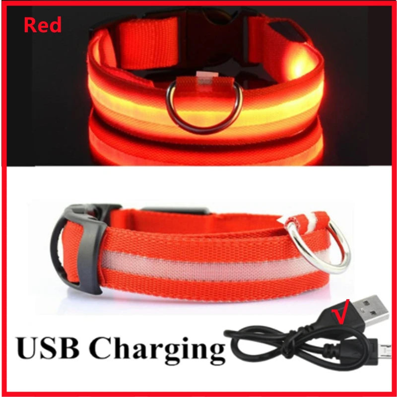 USB Rechargeable Luminous Dog Collar