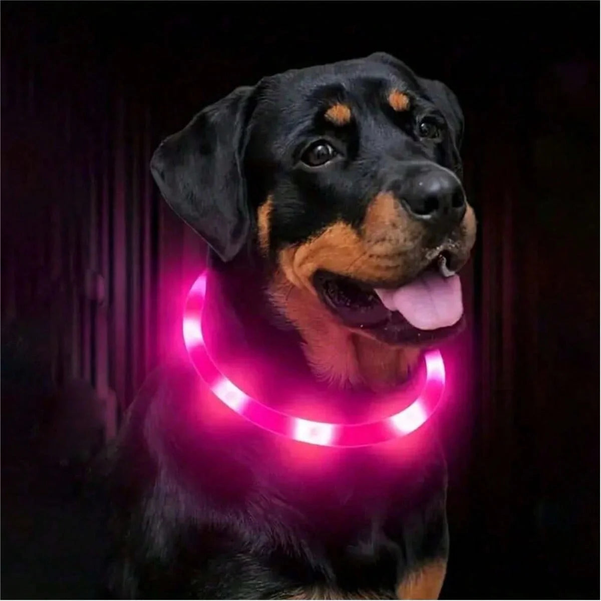 Glow Safety Dog Collar & Leash