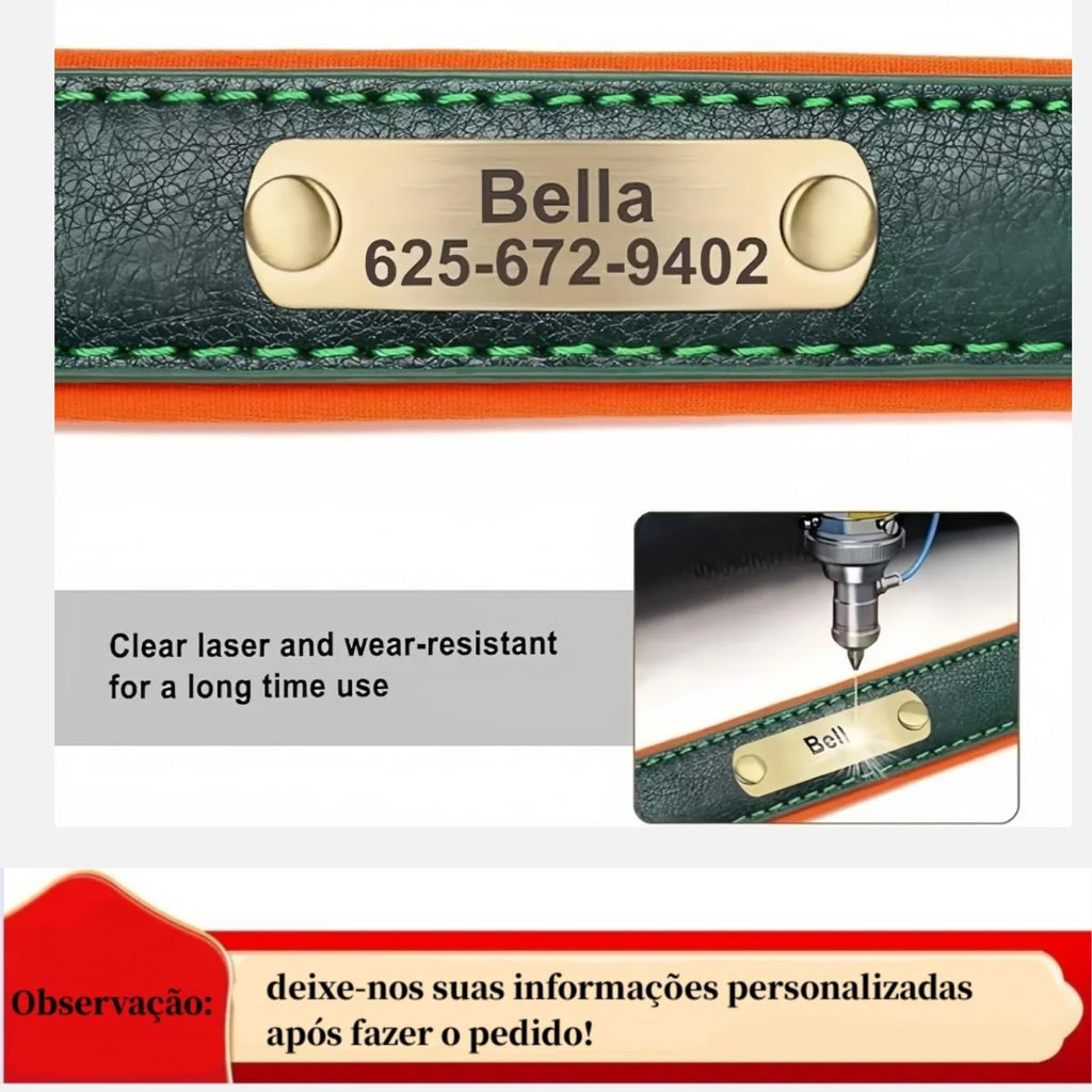 Personalized Leather ID Collar