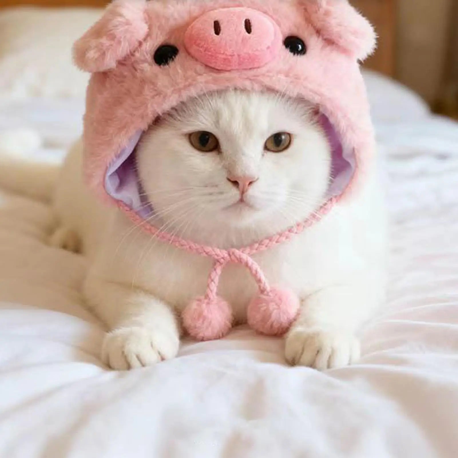 Funny Animal Hat for Pets