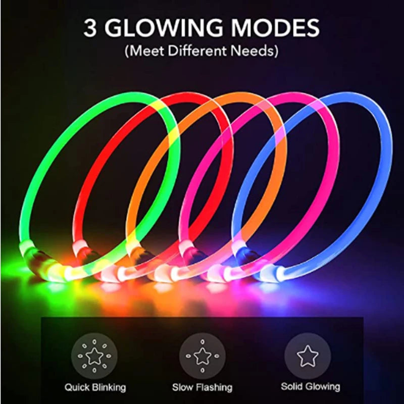 USB Glow Necklace Dog Collar