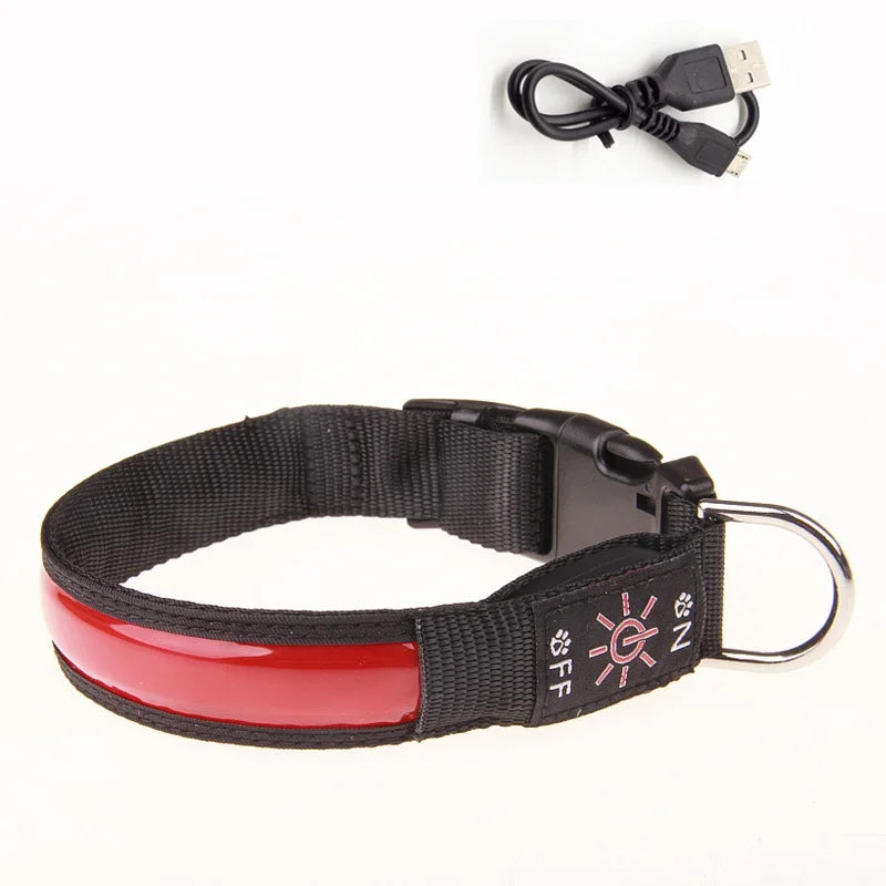 LED USB Charging Dog Collar