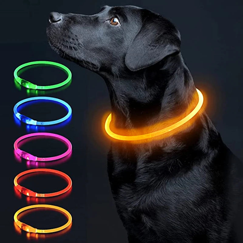 USB Glow Necklace Dog Collar