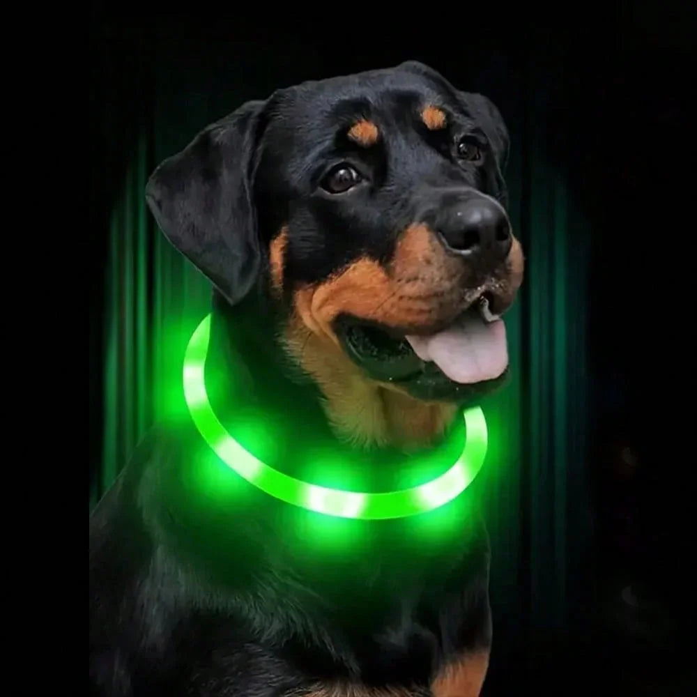 Glow Safety Dog Collar & Leash