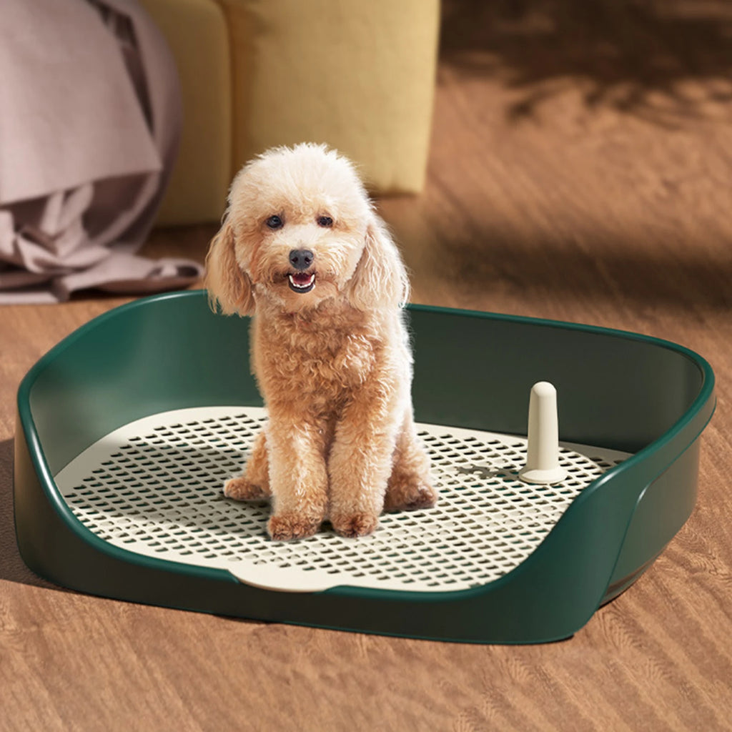 Portable Dog Potty Tray