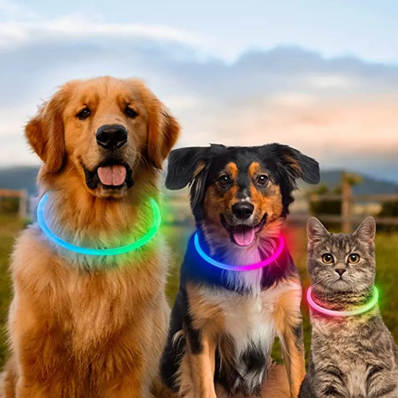 USB Glow Necklace Dog Collar