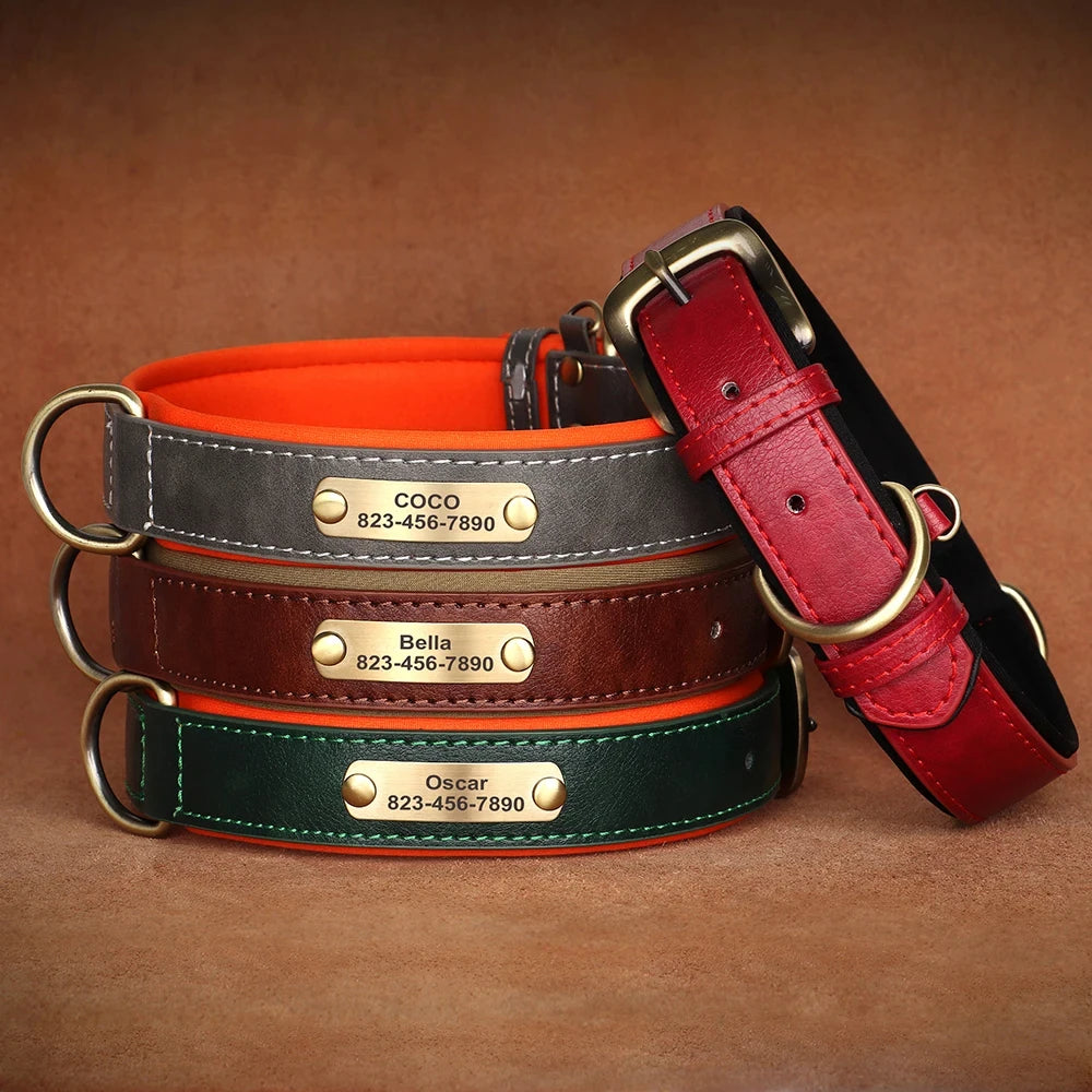 Personalized Leather ID Collar