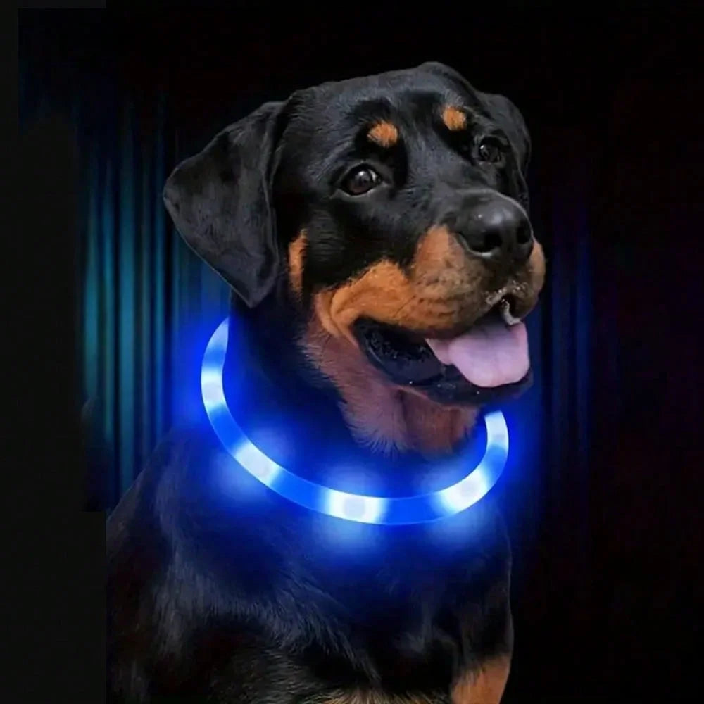 Glow Safety Dog Collar & Leash