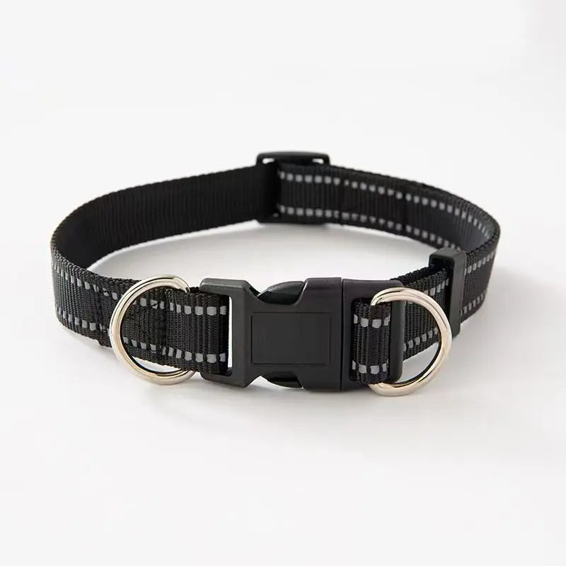 Dual D-Ring Dog Collar