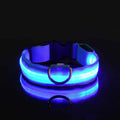 LED Glow Nylon Dog Collar