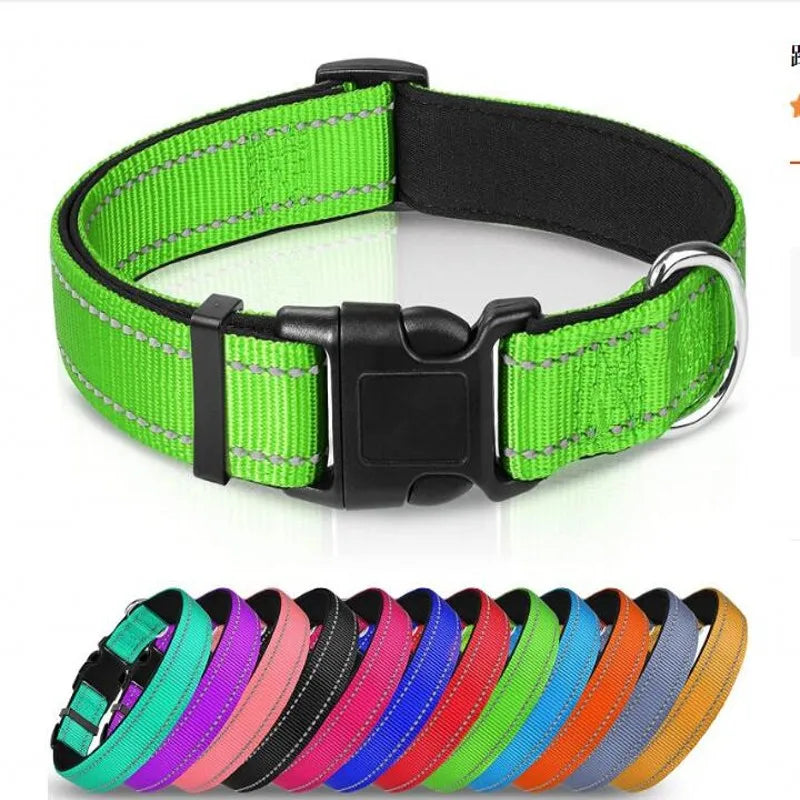 Reflective Padded Nylon Dog Collar