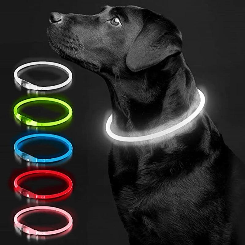 USB Glow Necklace Dog Collar
