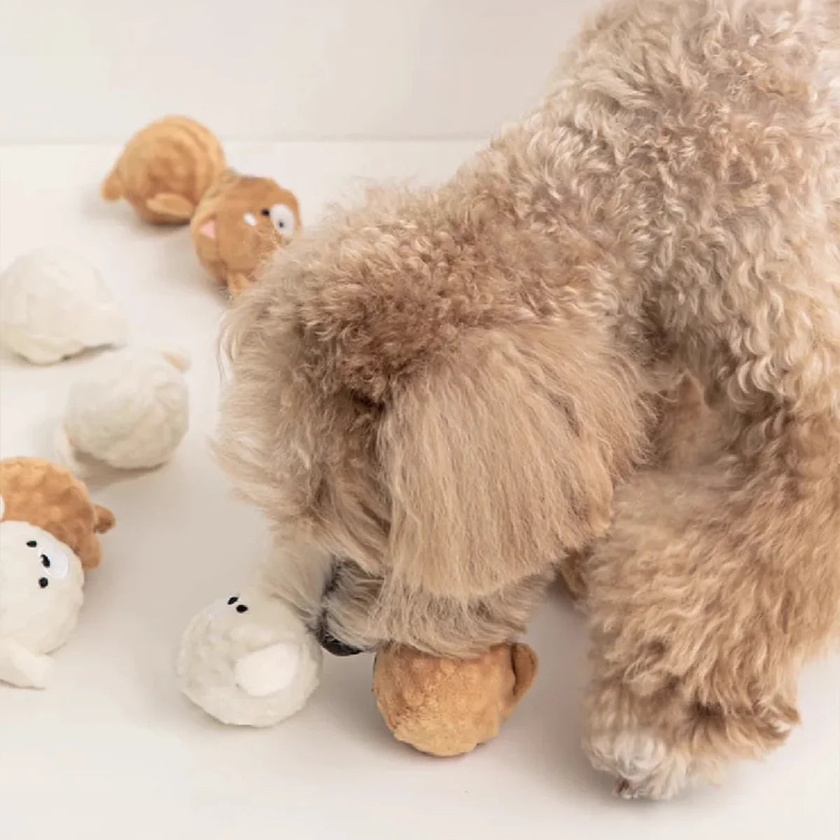 Squeaky Spiked Puppy Ball Toy