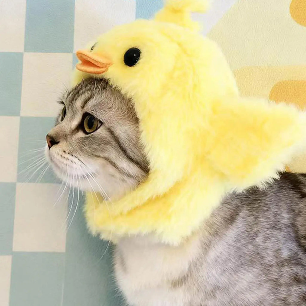 Funny Animal Hat for Pets