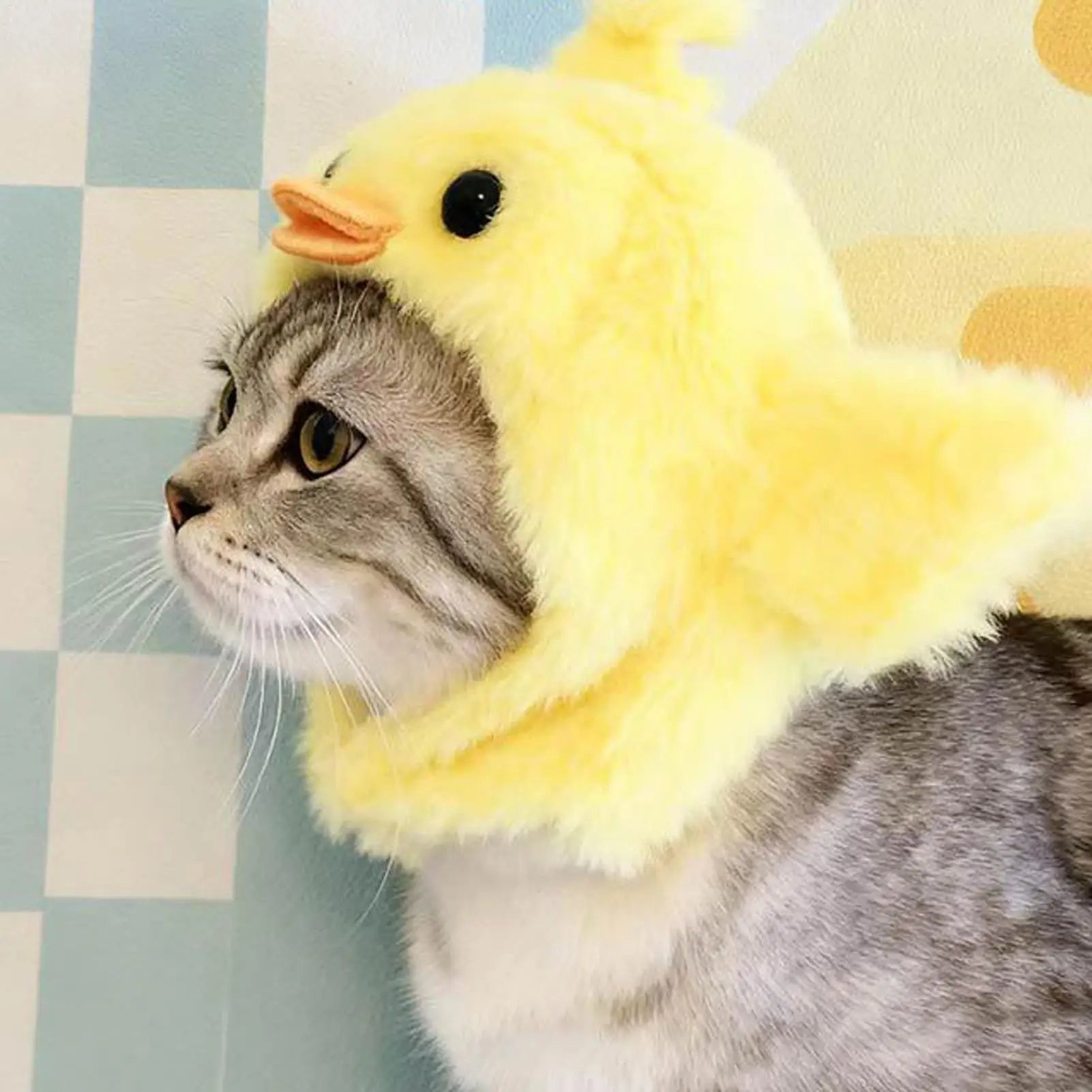 Funny Animal Hat for Pets