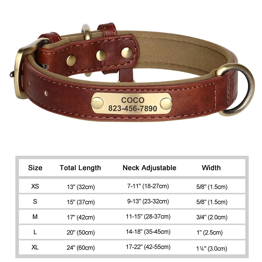 Personalized Leather ID Collar