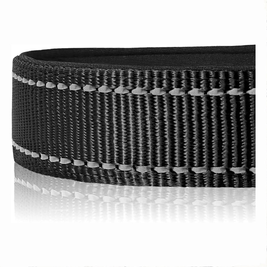 Reflective Padded Dog Collar